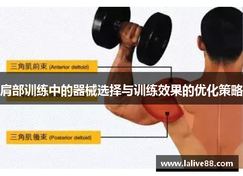 肩部训练中的器械选择与训练效果的优化策略